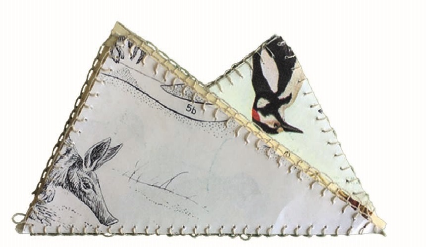 insta KT 0-3 birds fold cut
